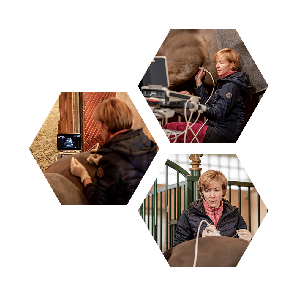 Ultraschall_Dr. Tanja Steinbach